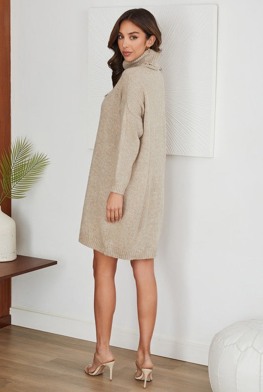 Carla Sweater Dress - Jupe NYC